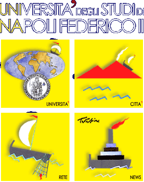 Splash page del portale web Unina.it - Universit degli Studi di Napoli Federico II